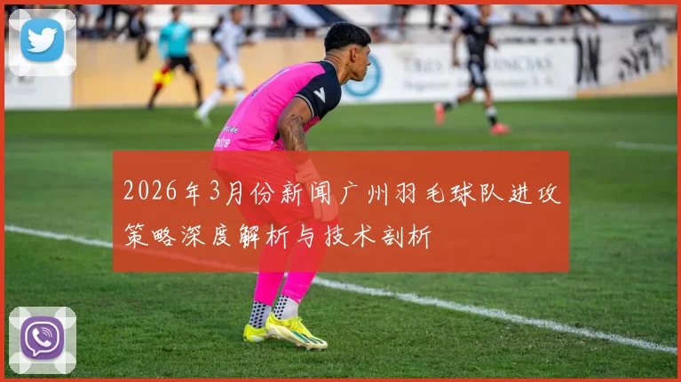 2026年3月份新闻广州羽毛球队进攻策略深度解析与技术剖析