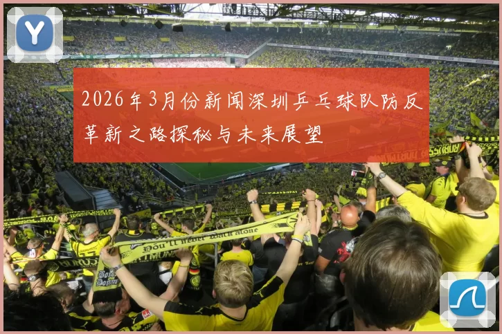 2026年3月份新闻深圳乒乓球队防反革新之路探秘与未来展望